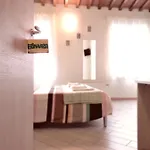 Bed & Breakfast Bianchi 64 Pisa